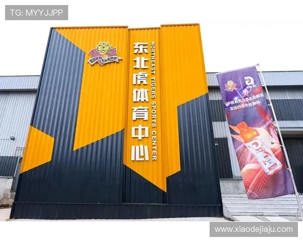 问鼎体育在线如何利用平台功能提升你的体育赛事观赛体验